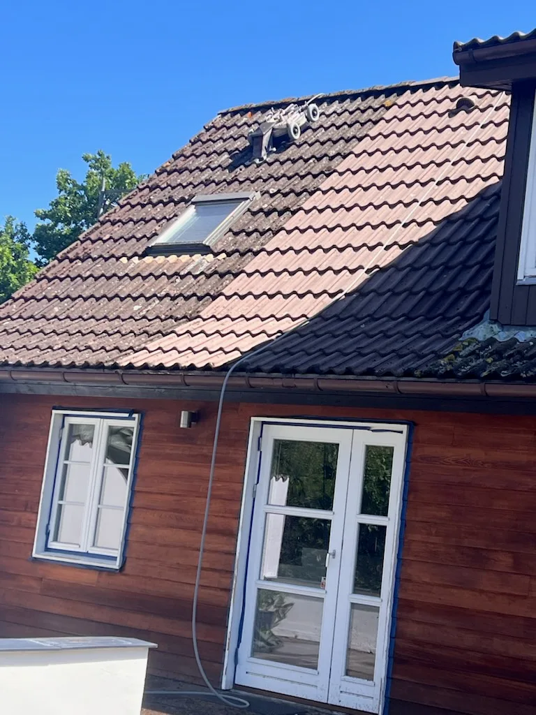 Ét og samme tag på Sjælland midt i en tagrens: den ene del af tagfladen er renset og står lys, den anden del er stadig mørk af mos og alger, med en skarp grænse imellem