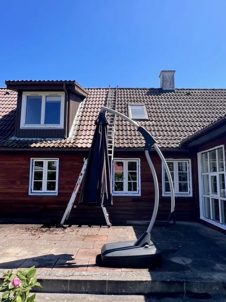 Rødbrunt træhus på Sjælland før tagrens: tagstenene står mørke og tilgroede med mos og alger, og en stige er rejst op til rygningen